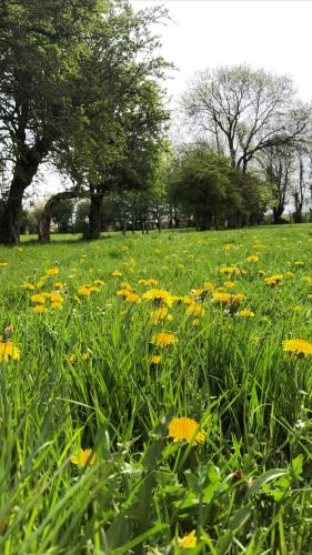 Κήπος έξω από το Au gré des saisons
