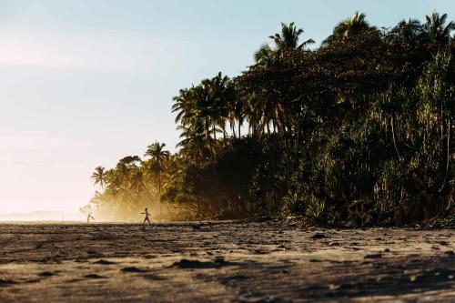 a person walking on a beach with palm trees at Krui Surfing in Wainapal