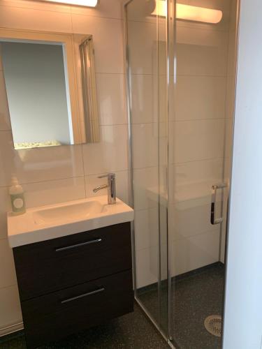 a bathroom with a sink and a glass shower at BEDEHUSET Basecamp Senja in Skaland