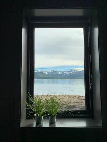 a window with potted plants on a window sill at BEDEHUSET Basecamp Senja in Skaland