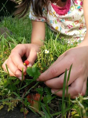 a little girl holding a ladybug in her hands at CASA RURAL Urruska in Elizondo