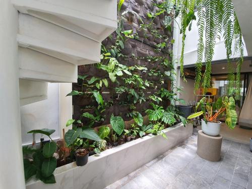 a living wall with plants on a building at Roompini in Bangkok