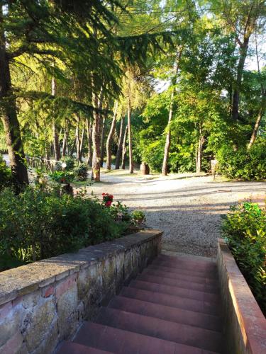 a set of stairs in a park with trees at Antico Podere Il Bugnolo in Poggibonsi