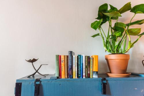 uma prateleira com livros e uma planta com vasos em Puckó em PerÅ‘csÃ©ny