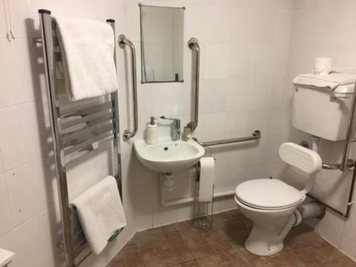 La salle de bains est pourvue de toilettes et d'un lavabo. dans l'établissement the Engine Inn, à Penzance
