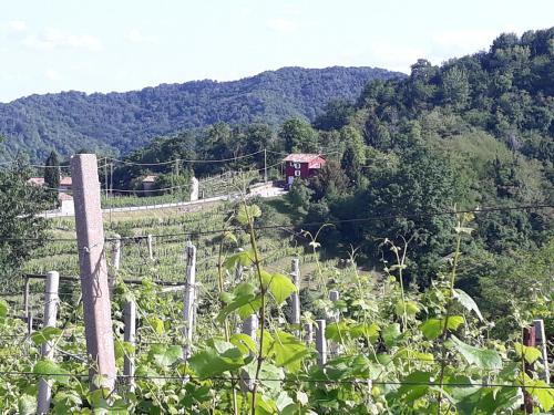 Gallery image of Casa Zuel Guesthouse in Rolle