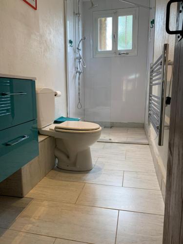 a bathroom with a toilet and a sink and a window at Doxie Cottage in Saint-Chabrais