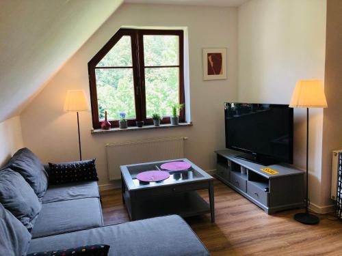 ein Wohnzimmer mit einem Sofa und einem Flachbild-TV in der Unterkunft Studio Polanica in Polanica-Zdrój