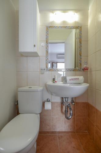 a bathroom with a toilet and a sink and a mirror at Panormos Hotel and Studios in Naxos Chora