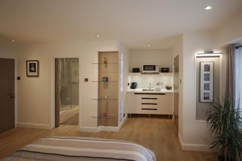 sala de estar con fregadero y cocina en Orchard Road Studio Apartment en Hook Norton