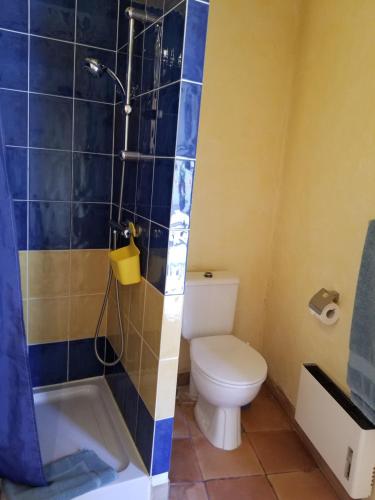 une salle de bain avec toilettes et douche dans l'établissement La Villa Les Hespérides, à Grimaud