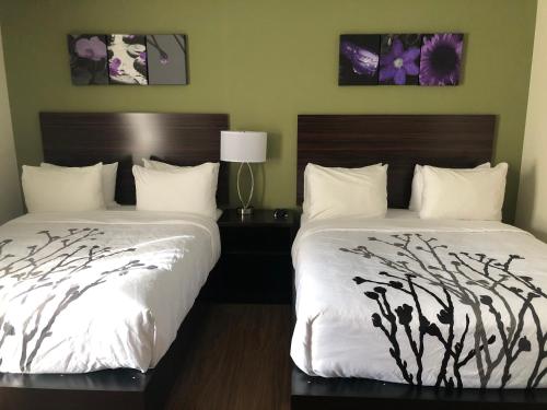 two beds in a hotel room with white sheets at Sleep Inn & Suites Quebec City East in Boischâtel