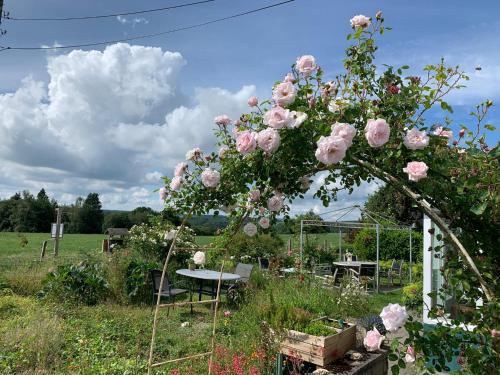 a garden with a table and pink roses at Ard'envie Bed&Breakfast in Cetturu