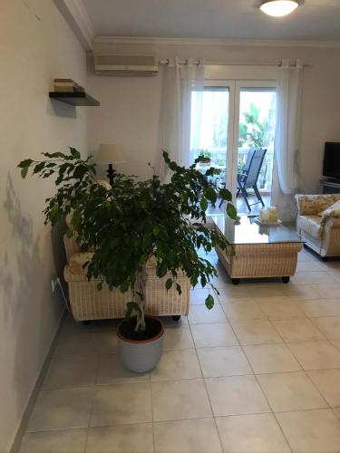 Casa Denia