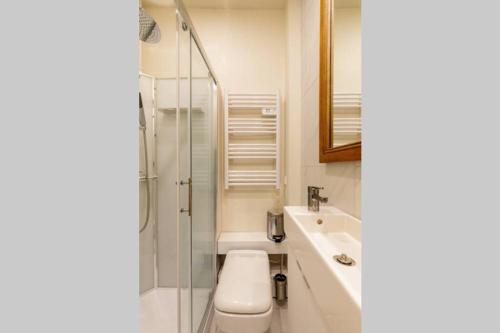 une salle de bain avec une douche, des toilettes et un lavabo dans l'établissement Magnifique appartement au cœur de la Petite France, à Strasbourg