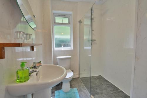 y baño con lavabo, aseo y ducha. en The Paddocks Cottages en Symonds Yat