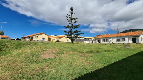 a tree on a grassy hill in front of a house at Moradias Estação Radio Naval , Moradia Vila do Porto in Lajes das Flores