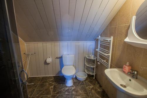 a bathroom with a blue toilet and a sink at PIKA Pokoje Gościnne in Władysławowo