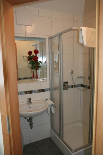 a bathroom with a shower and a sink and a shower at Schlosswirt Etting in Ingolstadt