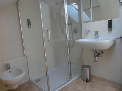 a bathroom with a shower and a sink at Appartamento Riscone Nuvola di Plan in Brunico