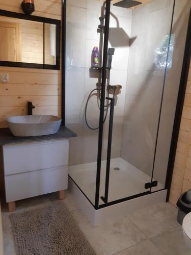 a bathroom with a shower and a sink at Domek na wzgórzu "RYŚ" in Krempna
