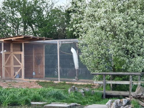 a greenhouse in front of a house at u Ďurkových in Žabokreky nad Nitrou
