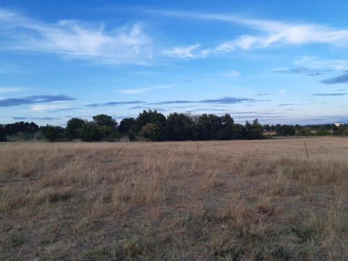 a field of dry grass with trees in the background at maison blanche piscine et petit déjeuner in Châtellerault