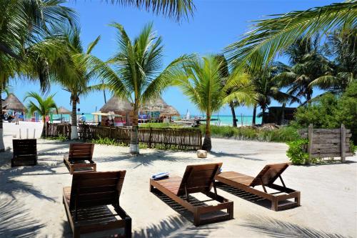 three chairs and palm trees on a sandy beach at La Diosa Kali Beach Front Hotel in Holbox Island