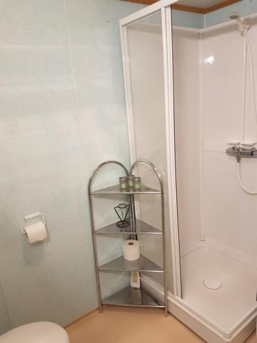 a bathroom with a shower and a toilet and a shelf at Leite Telt Camping in Lyngstad