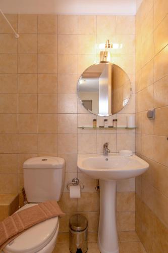 a bathroom with a toilet and a sink and a mirror at Αlissachne Suites in Limniónas
