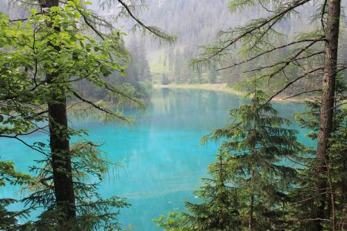 a view of a blue lake through the trees at Apartment Hofacker in Pernegg an der Mur