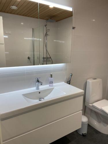 uma casa de banho branca com um lavatório e um WC em Parvekkeellinen yksiö keskustassa em Turku