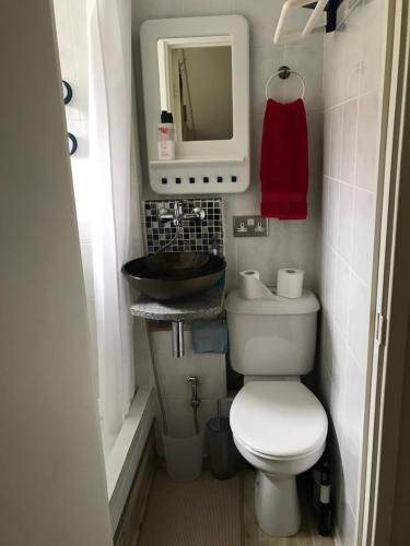 a small bathroom with a toilet and a sink at Quiet, spacious double bedroom! in Peterborough