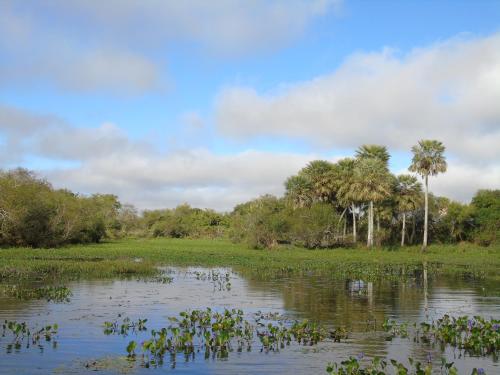 Gallery image of Iberá Porá in Colonia Carlos Pellegrini