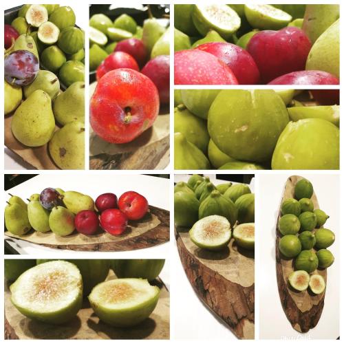 a series of different pictures of different fruits at Bed Nonnonino in Porto Cesareo