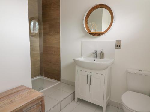 ein Badezimmer mit einem Waschbecken, einem WC und einem Spiegel in der Unterkunft Hazel Lodge in Llanidloes