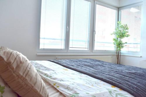 a bedroom with a bed with a blanket and windows at Modern apartments - Airport 8mins in Prague
