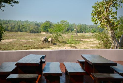 a group of picnic tables and elephants in a field at I love phants Lodge in Ban Huai Thawai