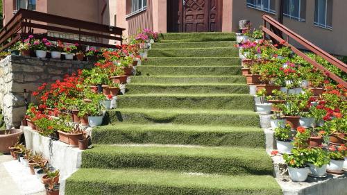 Casa Lorena – Photos 3