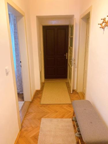 a hallway with a brown door and two rugs at Zámek Ruda nad Moravou in Ruda na Moravě
