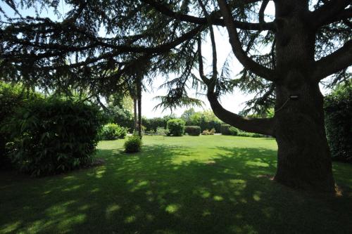 La Corte dei Limoni – Photos 5