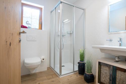 a bathroom with a shower and a toilet and a sink at Gasthof Dorfwirt Sandgruber Ges.m.b.H in Pertisau