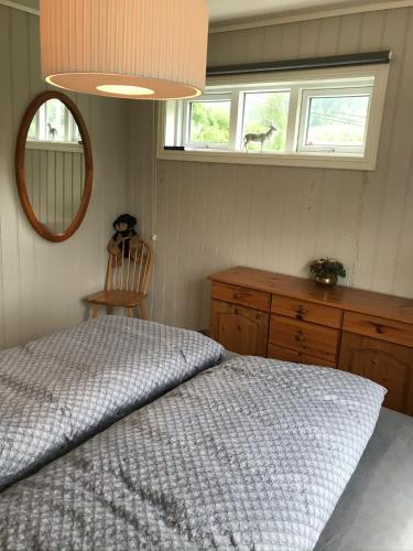 a bedroom with a bed and a mirror and a dresser at Josygaard in Austefjorden