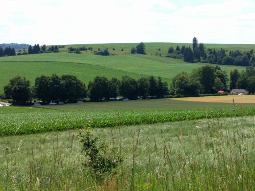Galeriebild der Unterkunft Tagungshaus Reimlingen in Reimlingen