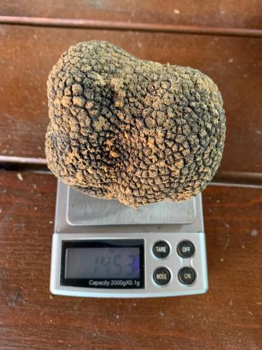 a stone on top of a digital scale at Casa Crevole in Palazzina