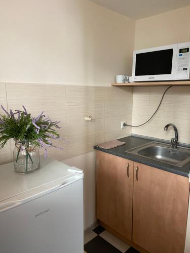 a kitchen with a sink and a microwave at Family Apartment in Lviv