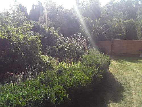 a garden with bushes and trees and a fence at THE RETREAT in Hereford