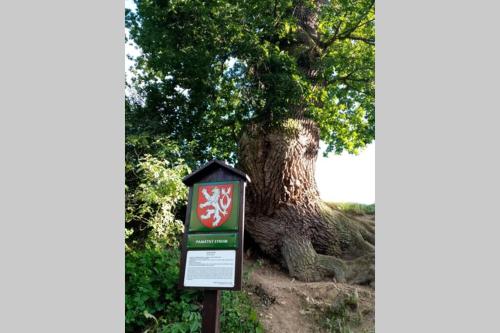 a sign in front of a tree next to a tree at Statek in Veverská Bítýška
