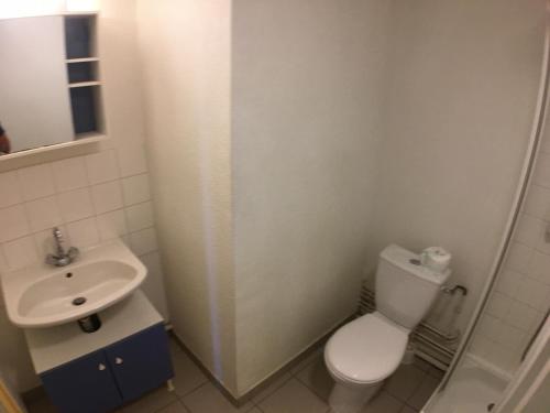 une petite salle de bain avec toilettes et lavabo dans l'établissement Appartement meublé n°3 - 15 min Dampierre - 25 min Belleville - WIFI, à Gien