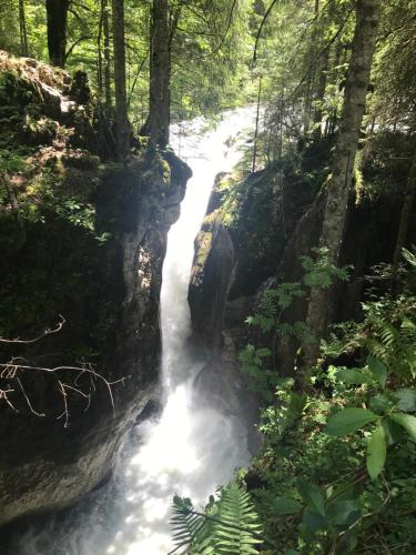 a waterfall in the middle of a forest at Kleine Ferienwohnung am Rande der Wildnis in Sibratsgfäll